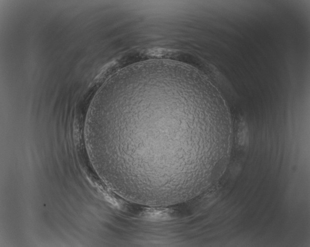 X0000078280569200611031211