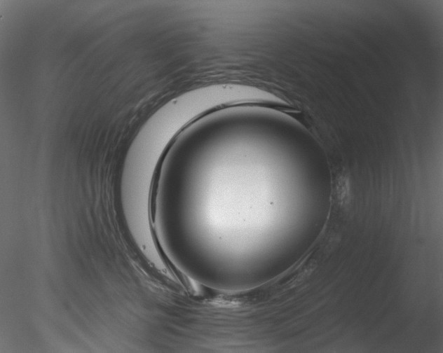 X0000078280570200611031211