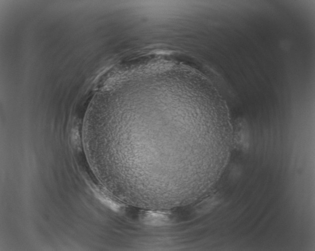 X0000078280573200611031211