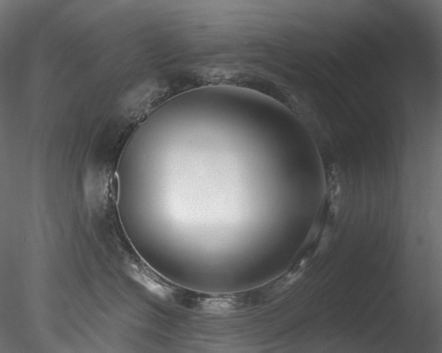 X0000078280574200611031211