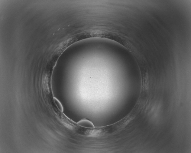 X0000078280575200611031211