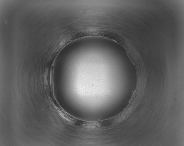 X0000078280576200611031211