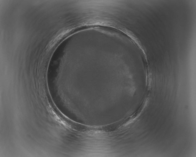 X0000078280577200611031211