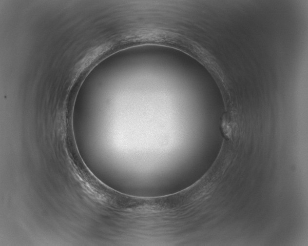 X0000078280578200611031211