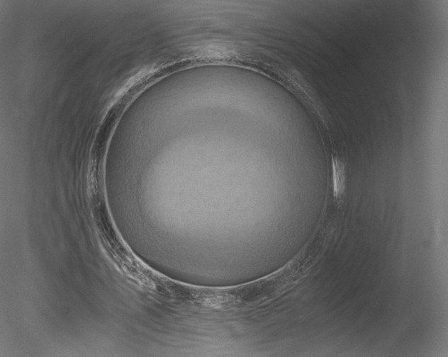 X0000078280579200611031211