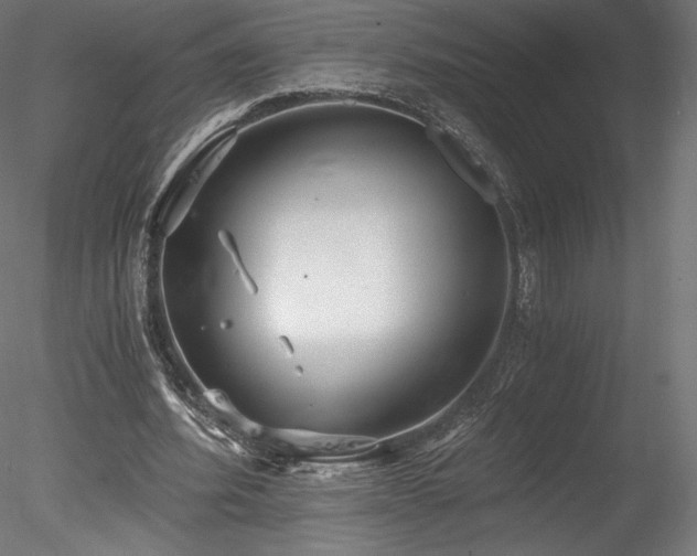 X0000078280580200611031211