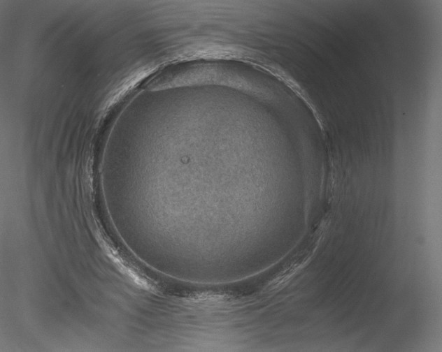 X0000078280581200611031211