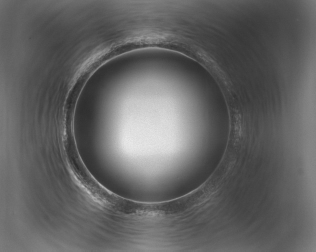 X0000078280582200611031211