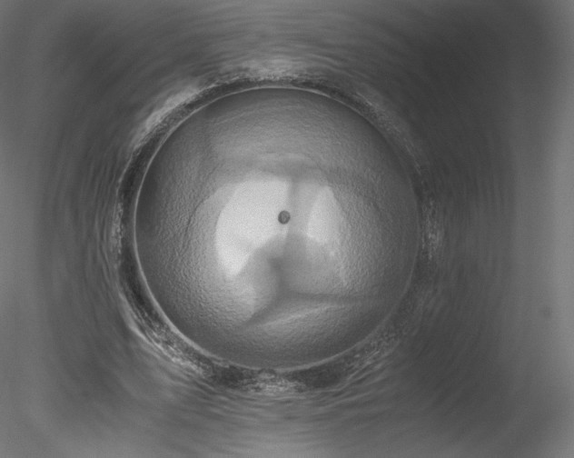 X0000078280583200611031210