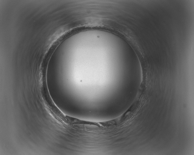 X0000078280584200611031210