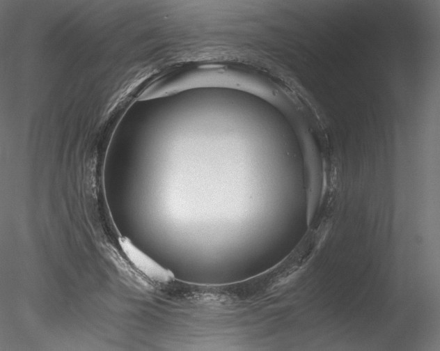 X0000078280585200611031210