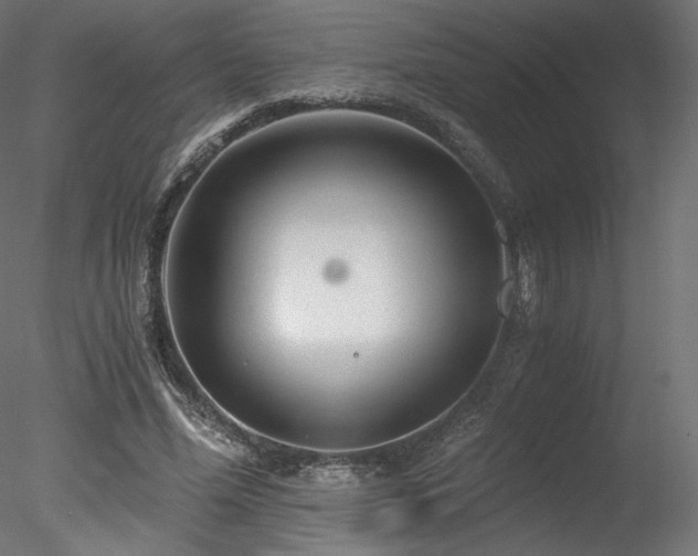 X0000078280588200611031210