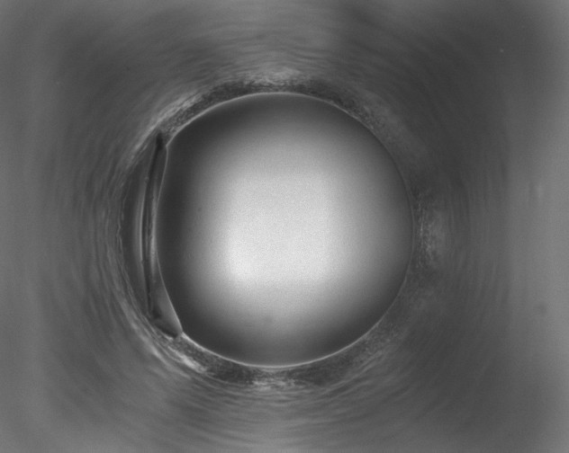 X0000078280591200611031210