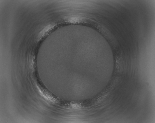 X0000078280592200611031210