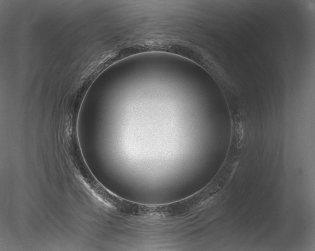 X0000078280593200611031210