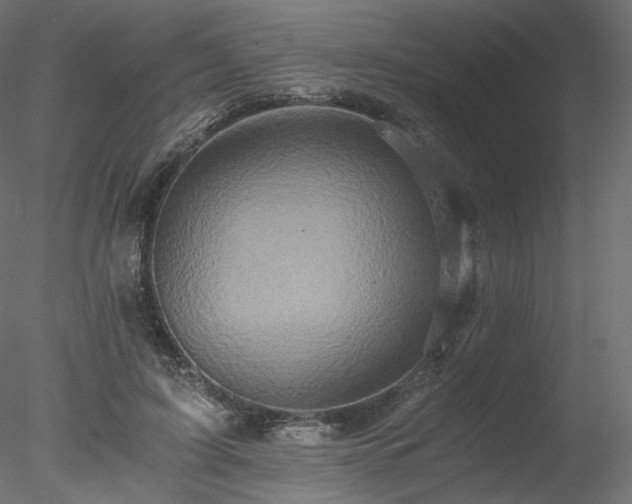 X0000078280595200611031210