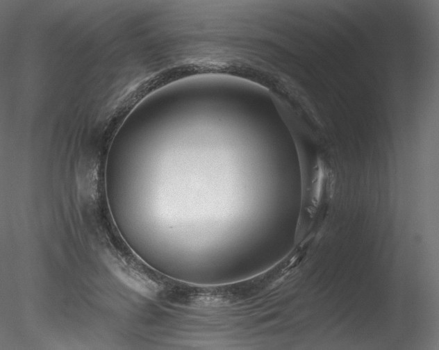 X0000078280596200611031210