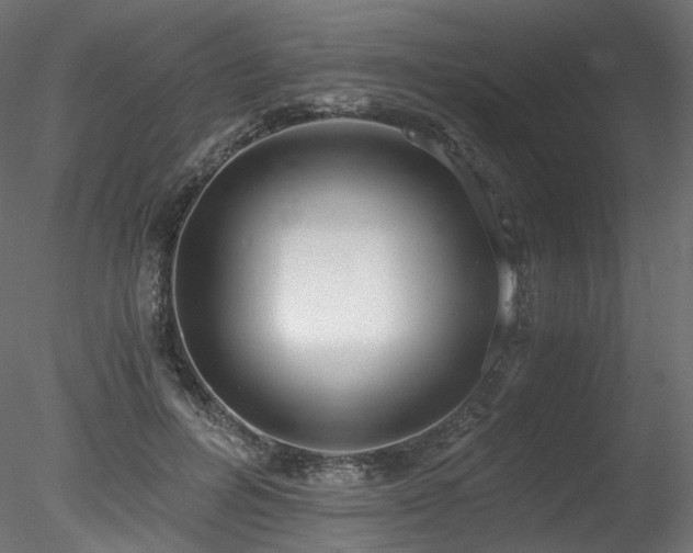 X0000078280600200611031210