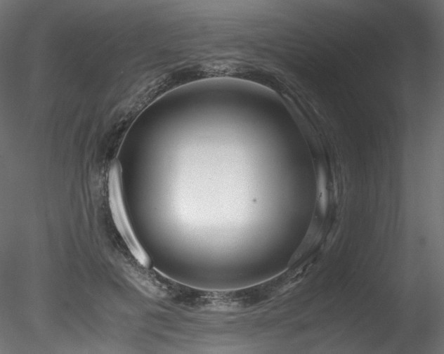 X0000078280601200611031210