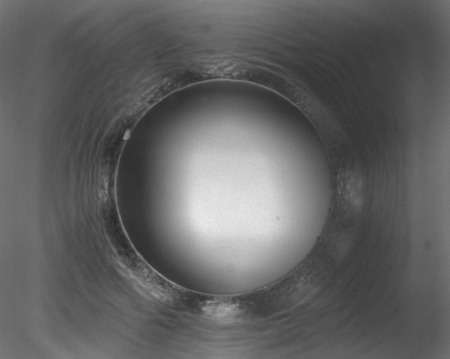 X0000078280602200611031210