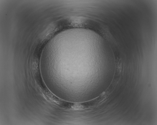 X0000078280603200611031210