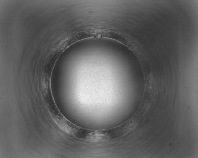 X0000078280607200611031210