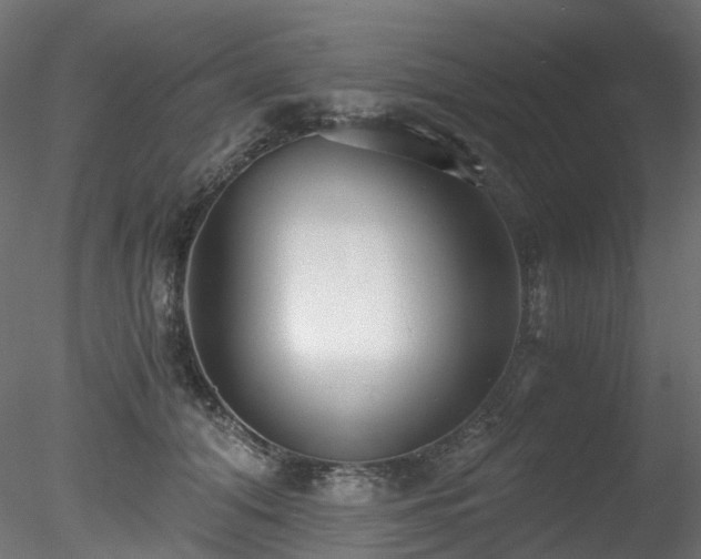 X0000078280608200611031210