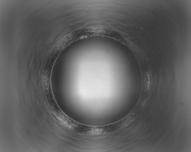 X0000078280609200611031210