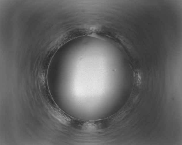 X0000078280613200611031210