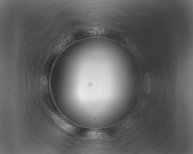 X0000078280614200611031210