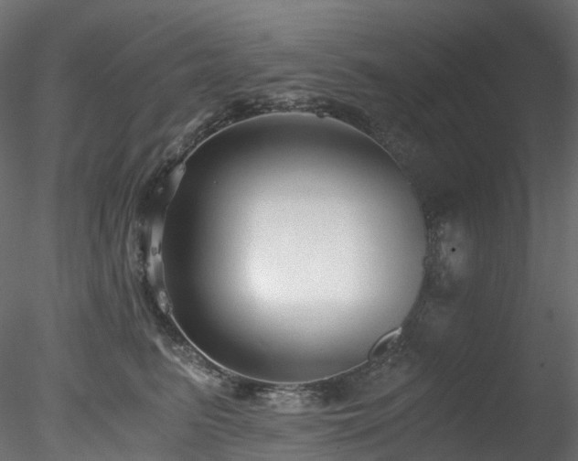 X0000078280615200611031210