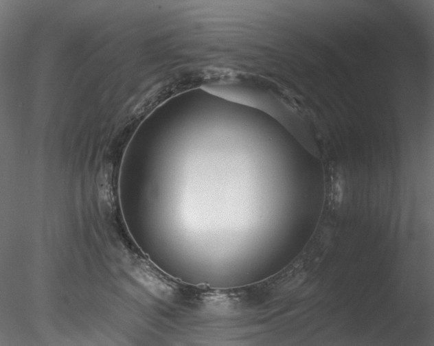 X0000078280616200611031210