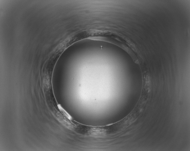 X0000078280617200611031210