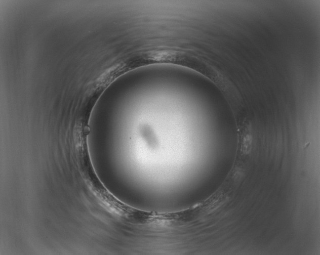 X0000078280620200611031210