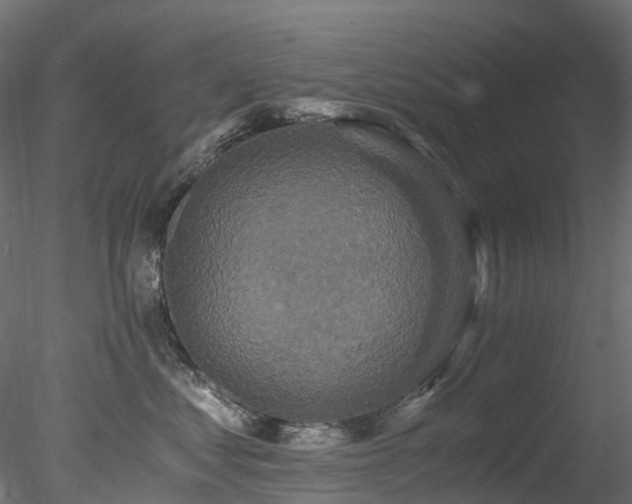 X0000078280621200611031210