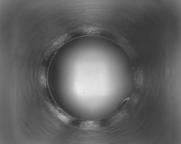 X0000078280622200611031210