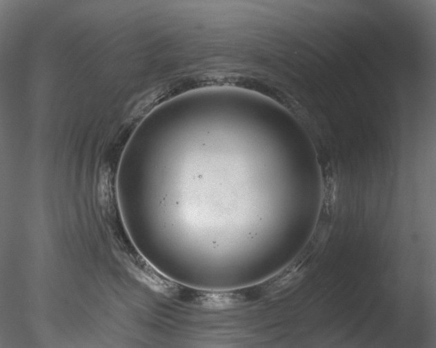 X0000078280623200611031210