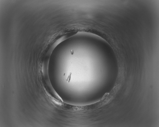 X0000078280624200611031210