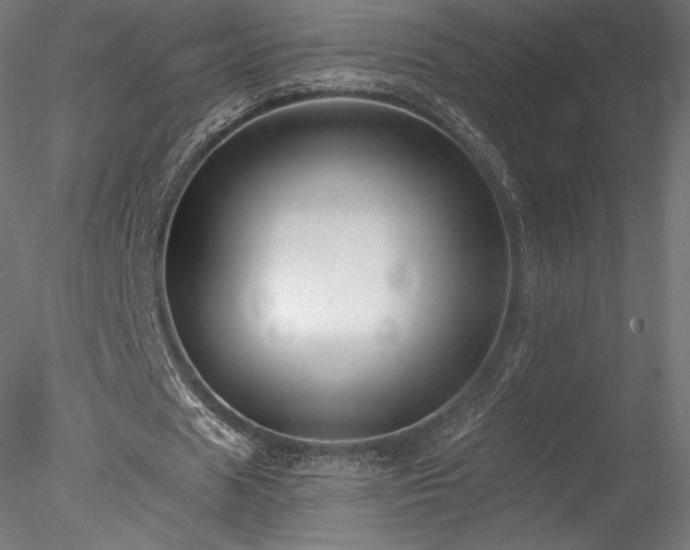 X0000078280625200611031209