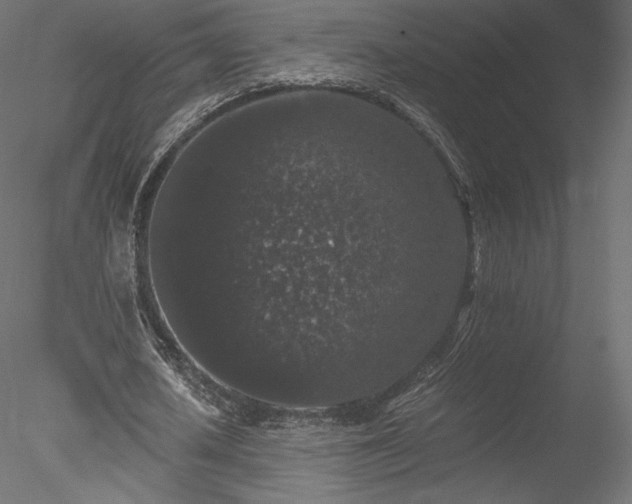 X0000078280626200611031209