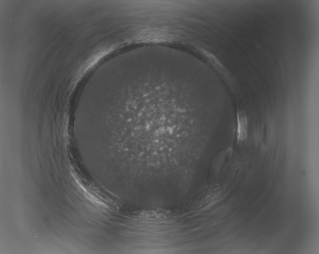 X0000078280627200611031209