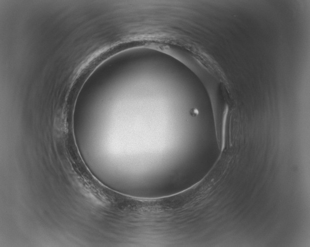 X0000078280628200611031209