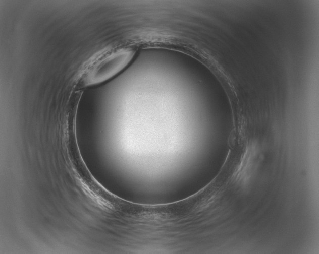 X0000078280629200611031209