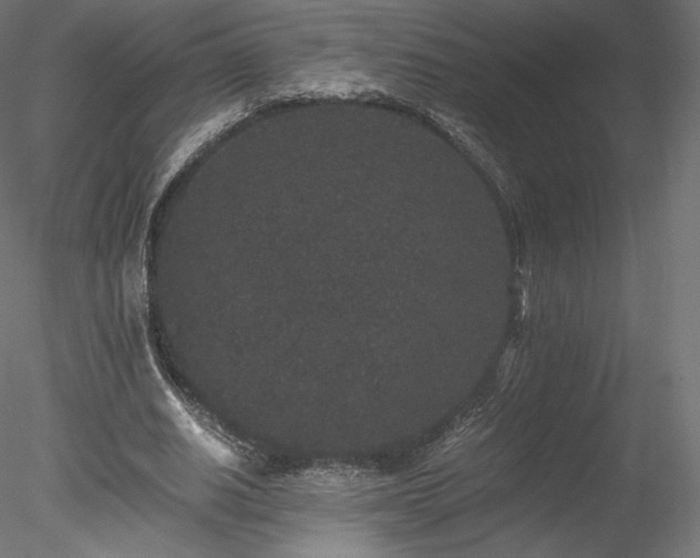 X0000078280630200611031209