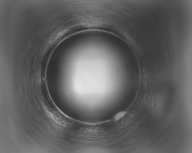 X0000078280631200611031209