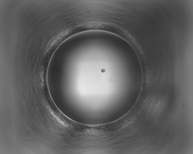 X0000078280633200611031209