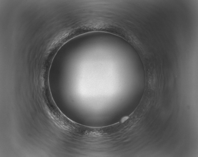 X0000078280635200611031209