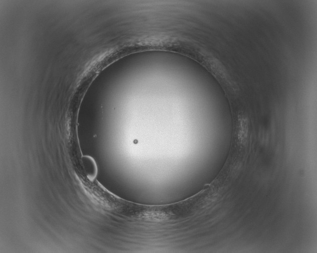 X0000078280636200611031209