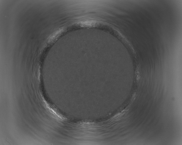 X0000078280637200611031209