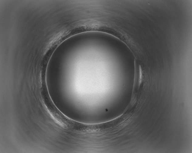 X0000078280638200611031209